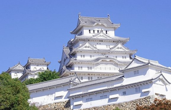 趣味・教養 HOBBY
