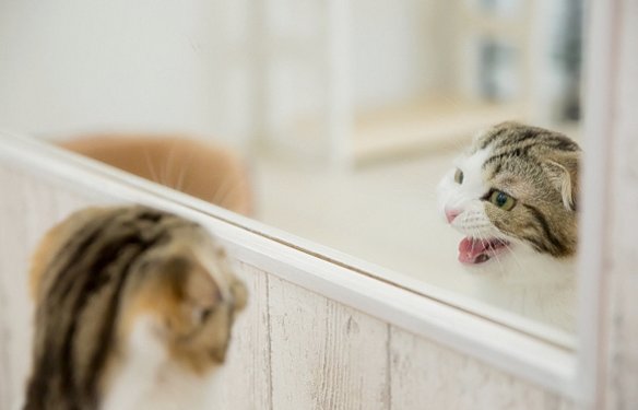 以前より怒りっぽくなったのは年齢のせい？イライラに振り回され…