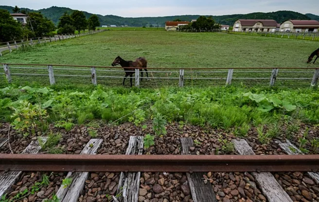 「線路の残る廃線跡」北海道・東北編【鉄道歴史さんぽ】