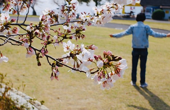 【定年後の生き方】早期退職は正解だったのか…孤独を生きる6…